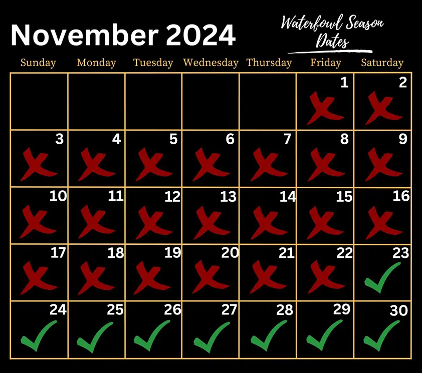 Arkansas Waterfowl Season Dates